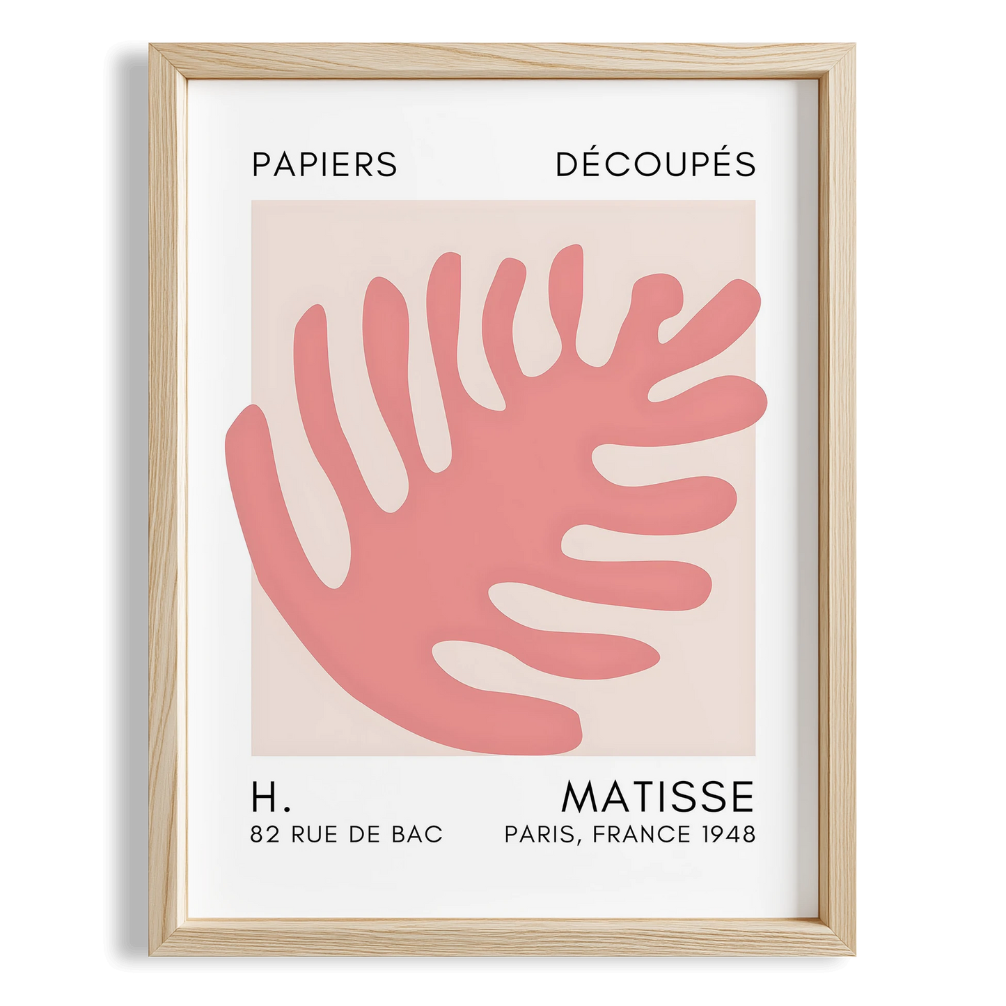Matisse Kağıt Kesimleri Serisi Toz Pembe Soyut Palmiye Yaprağı I Duvar Tablosu
