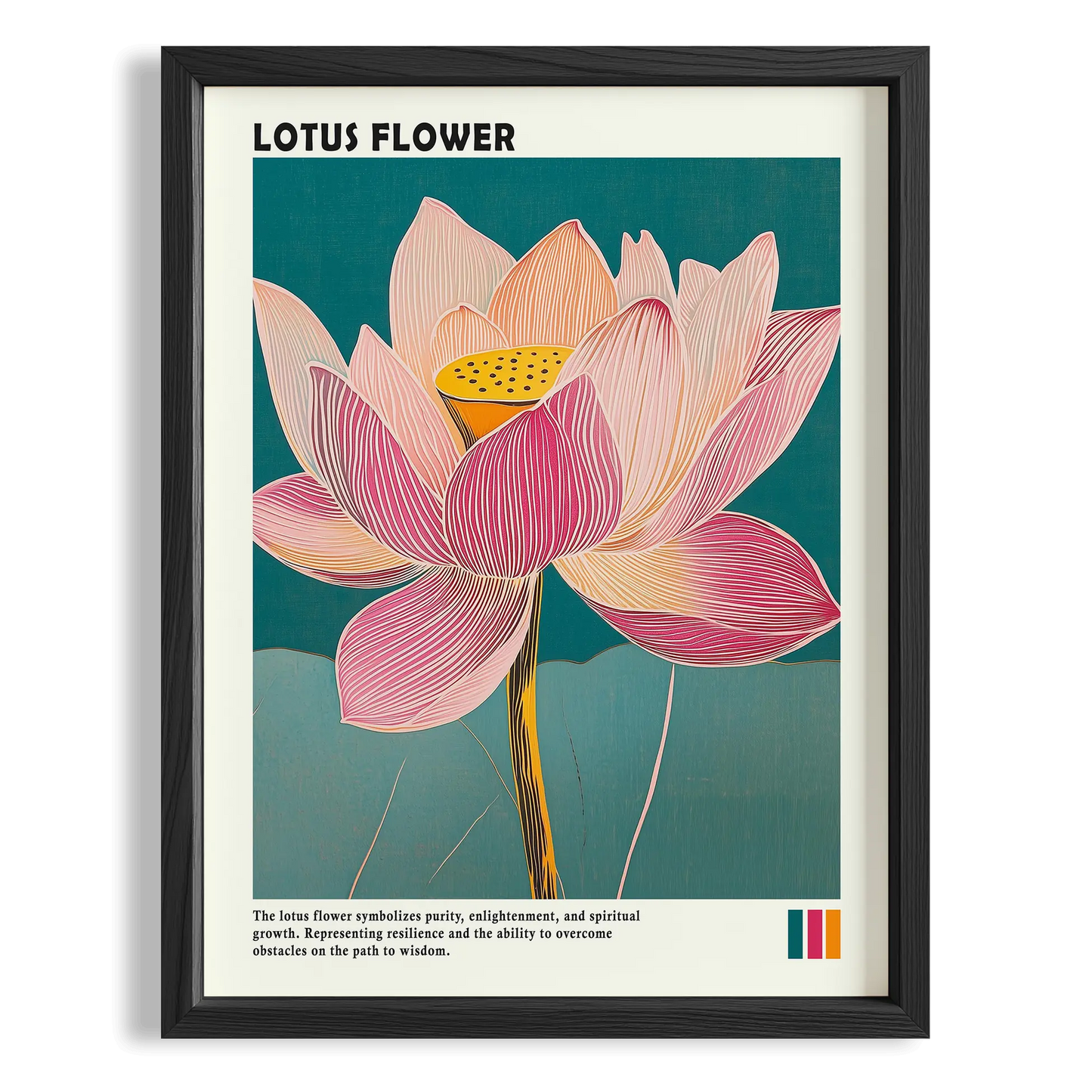 Lotus Çiçeği
