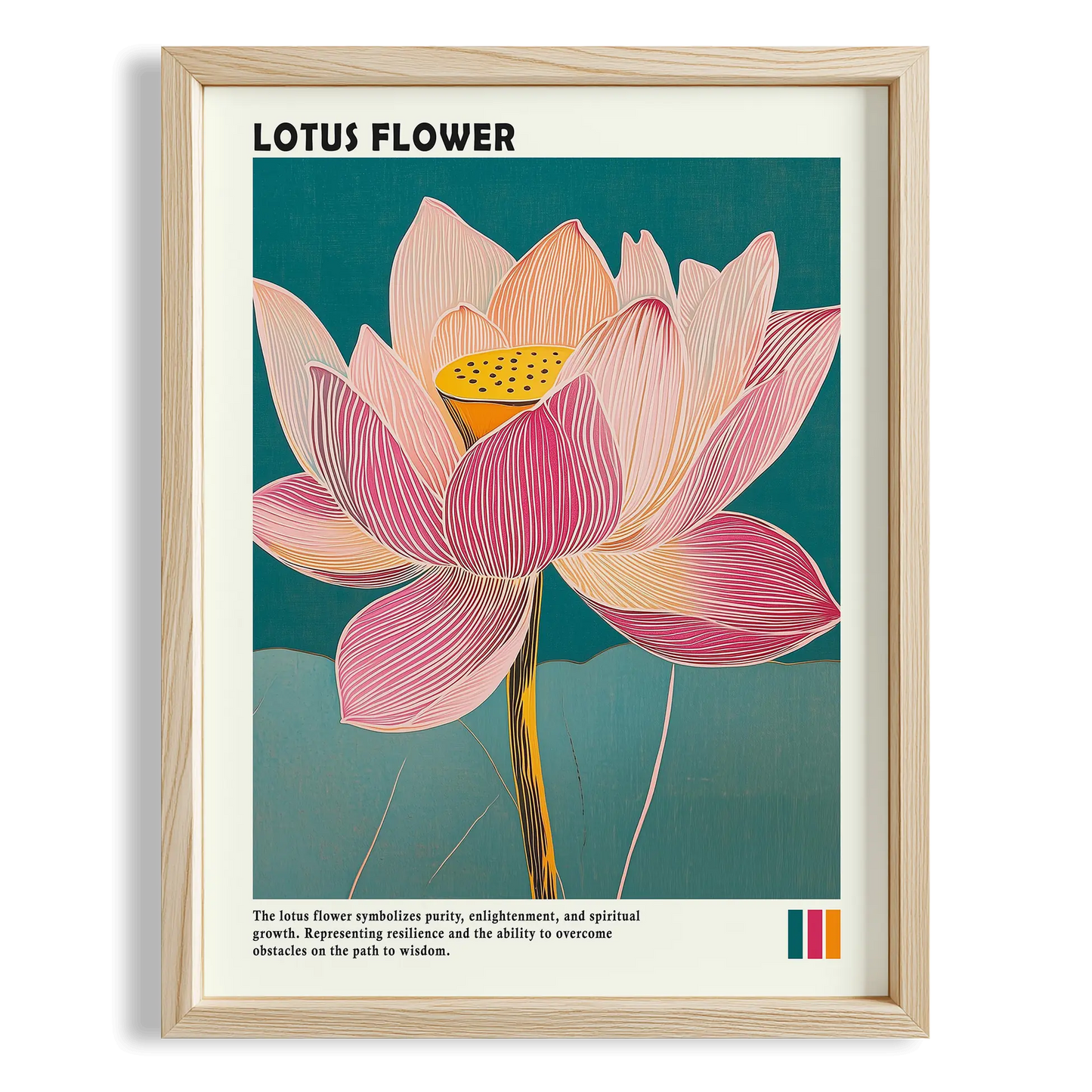 Lotus Çiçeği
