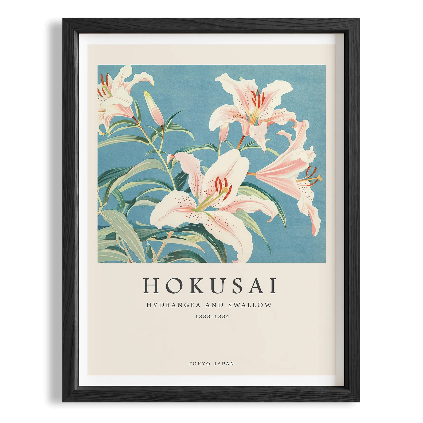 Hokusai Ortanca ve Kırlangıç