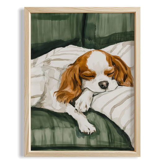 Köpek Portre XI - Cavalier King Charles Spaniel
